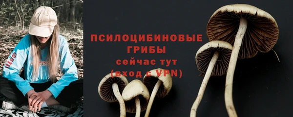 ешки Алзамай