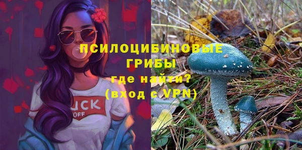 mdpv Алексеевка