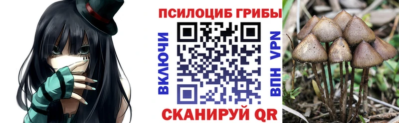 Псилоцибиновые грибы Psilocybine cubensis  Анива 